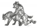 s_1227651169639_Hyenas1.jpg